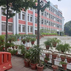 Bluebells School International
